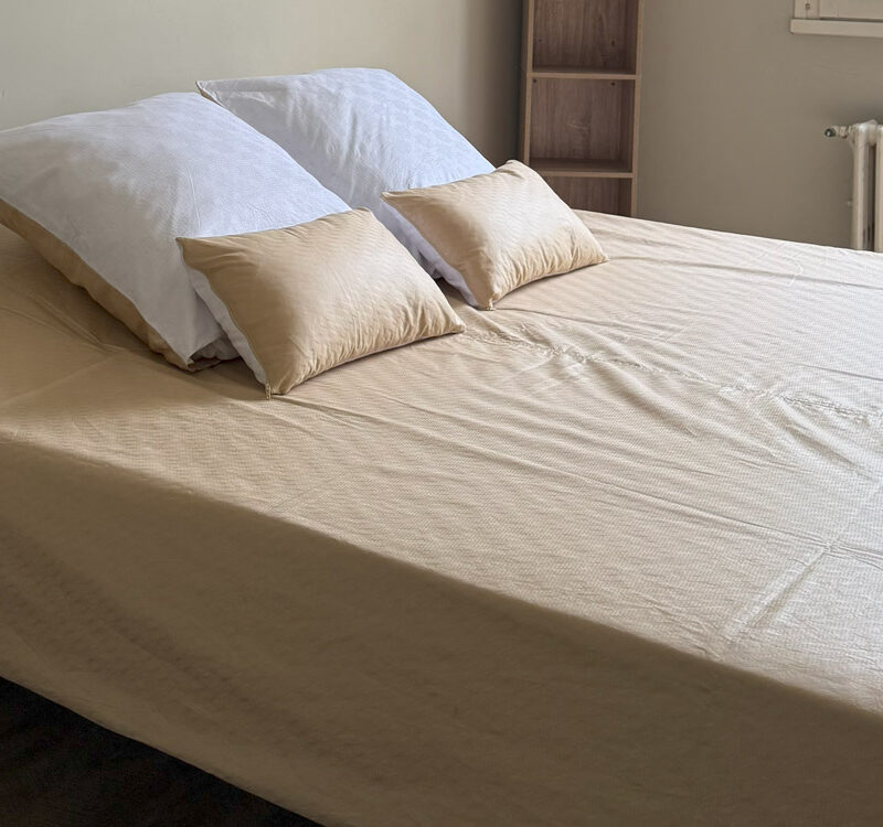 Parure Bazin riche 3 pièces Housse de couette Unie Bicolore Beige et Blanc